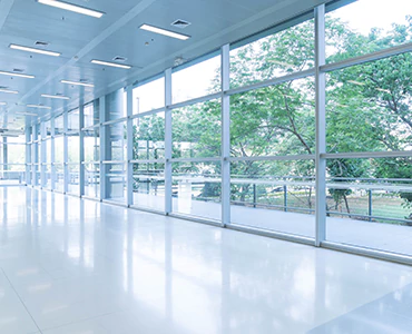 emergency glass repair in Citrus Park, FL
