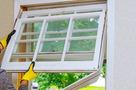Window Replacement in Citrus Park, FL